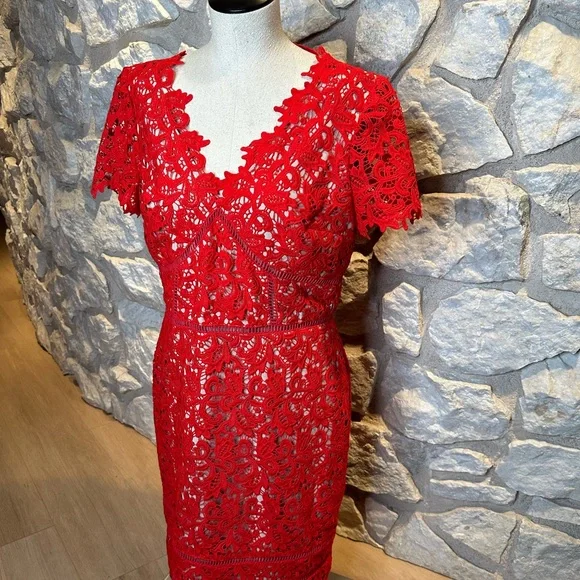 Dresses | Nue By Shani Red Lace Illusion Dress | Poshmark